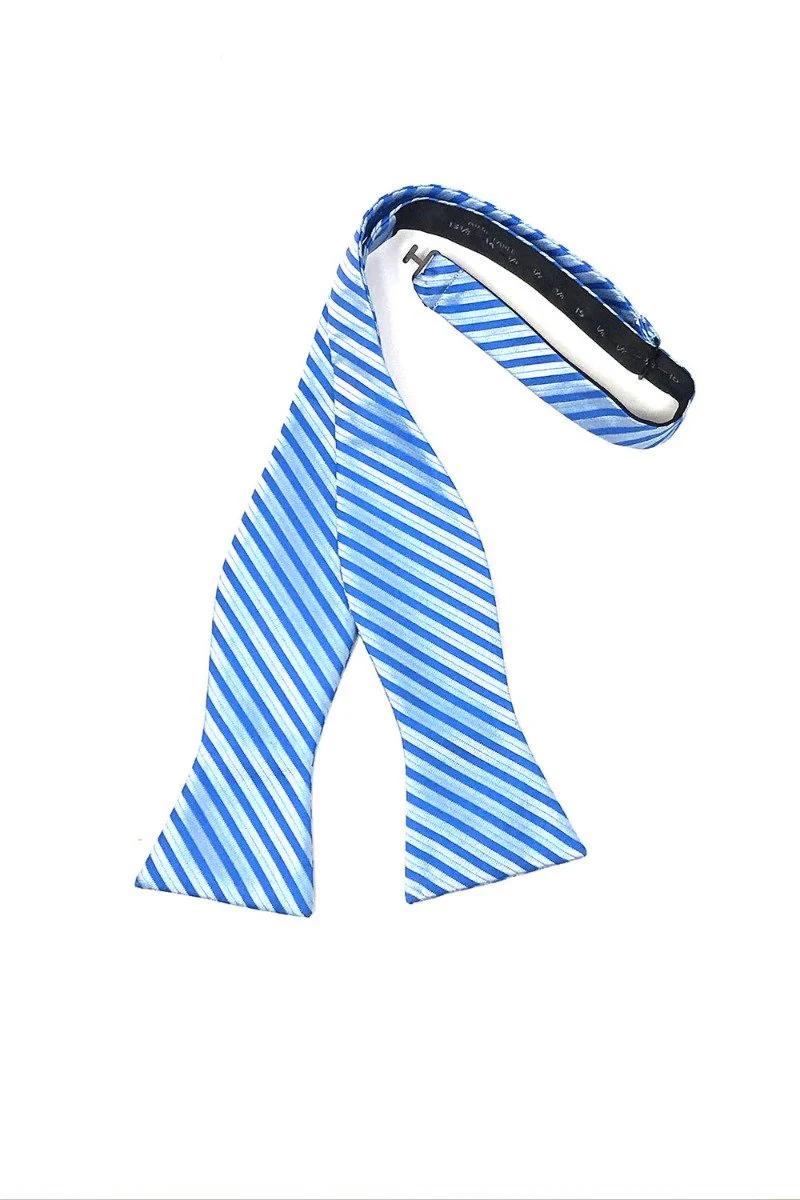 Blue Newton Stripe Bow Tie - Image 2