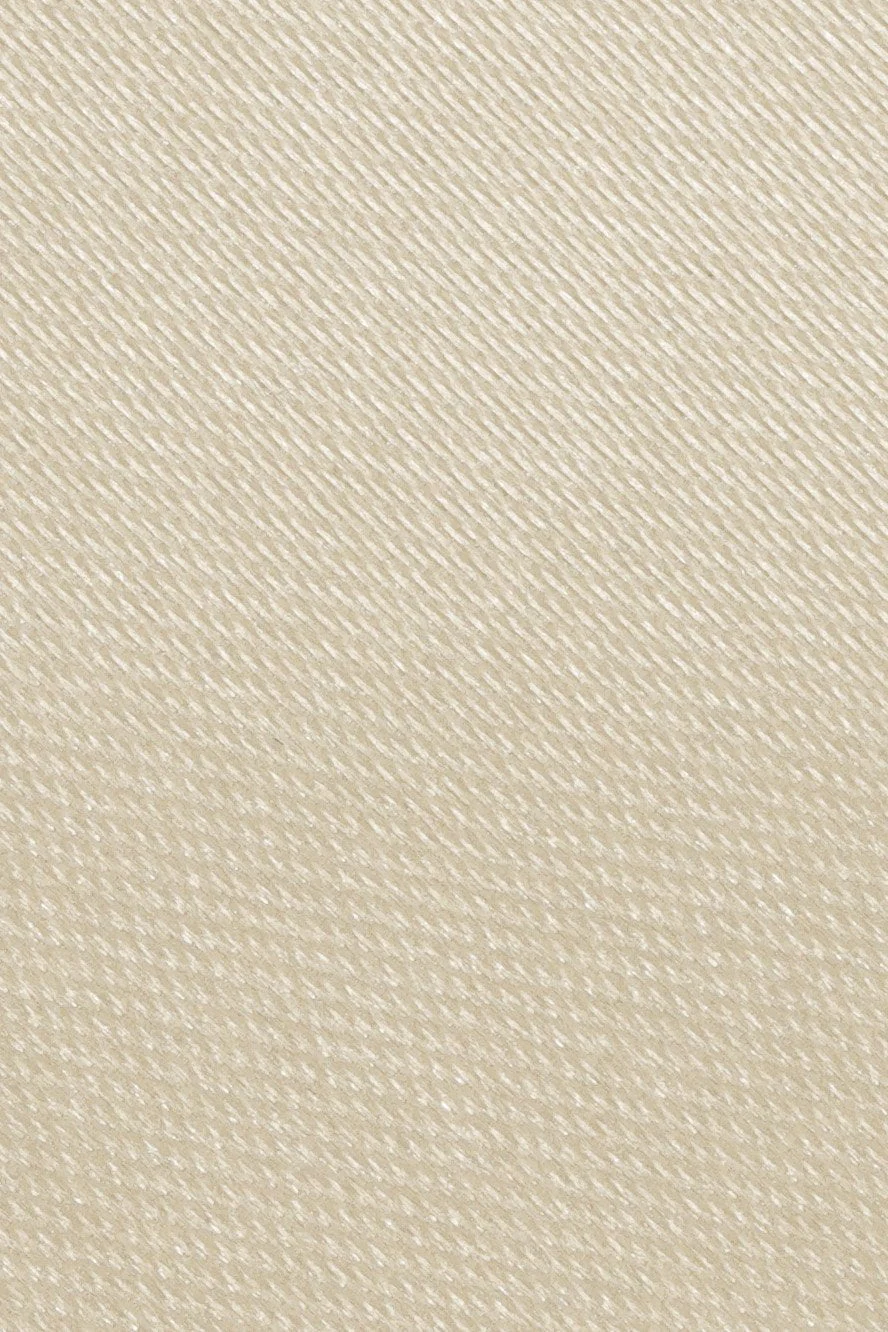 Champagne Eternity Necktie - Image 2