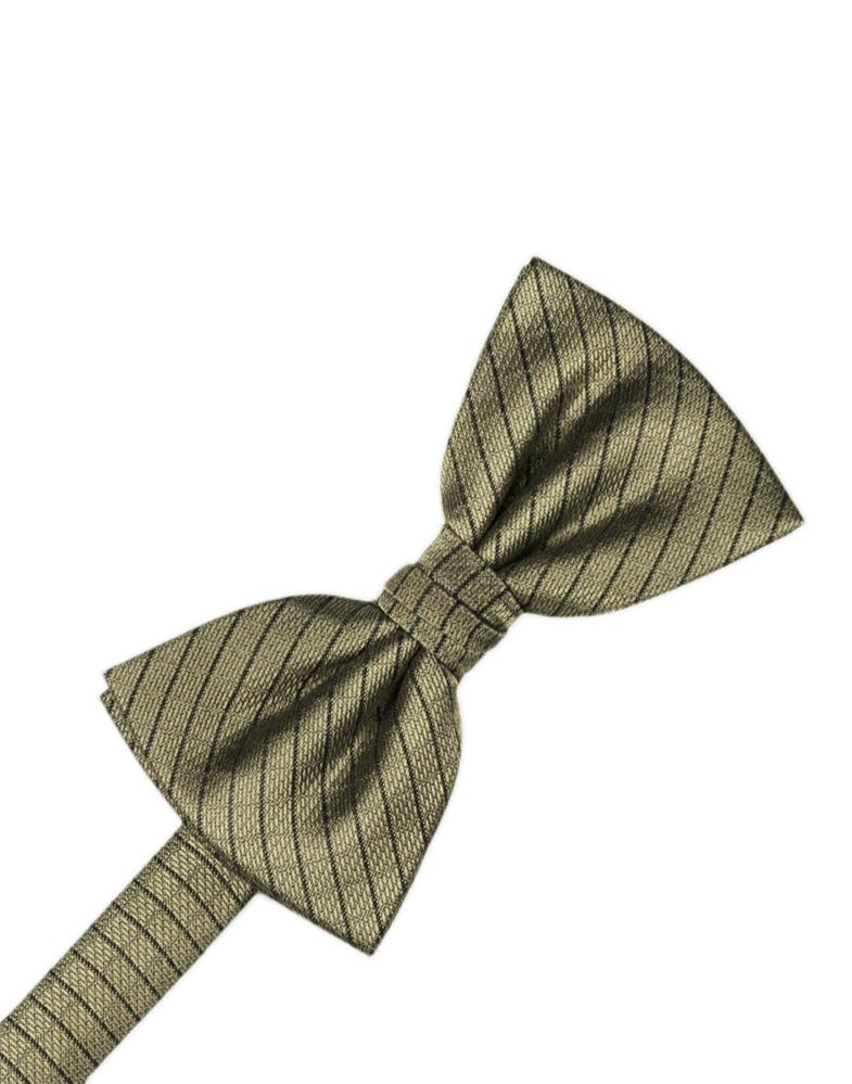 Champagne Palermo Cummerbund - Image 2