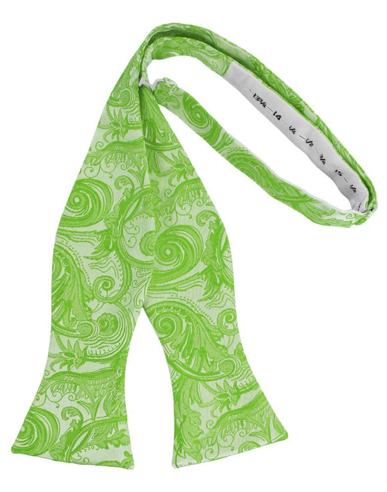Kelly Tapestry Bow Tie - Image 2