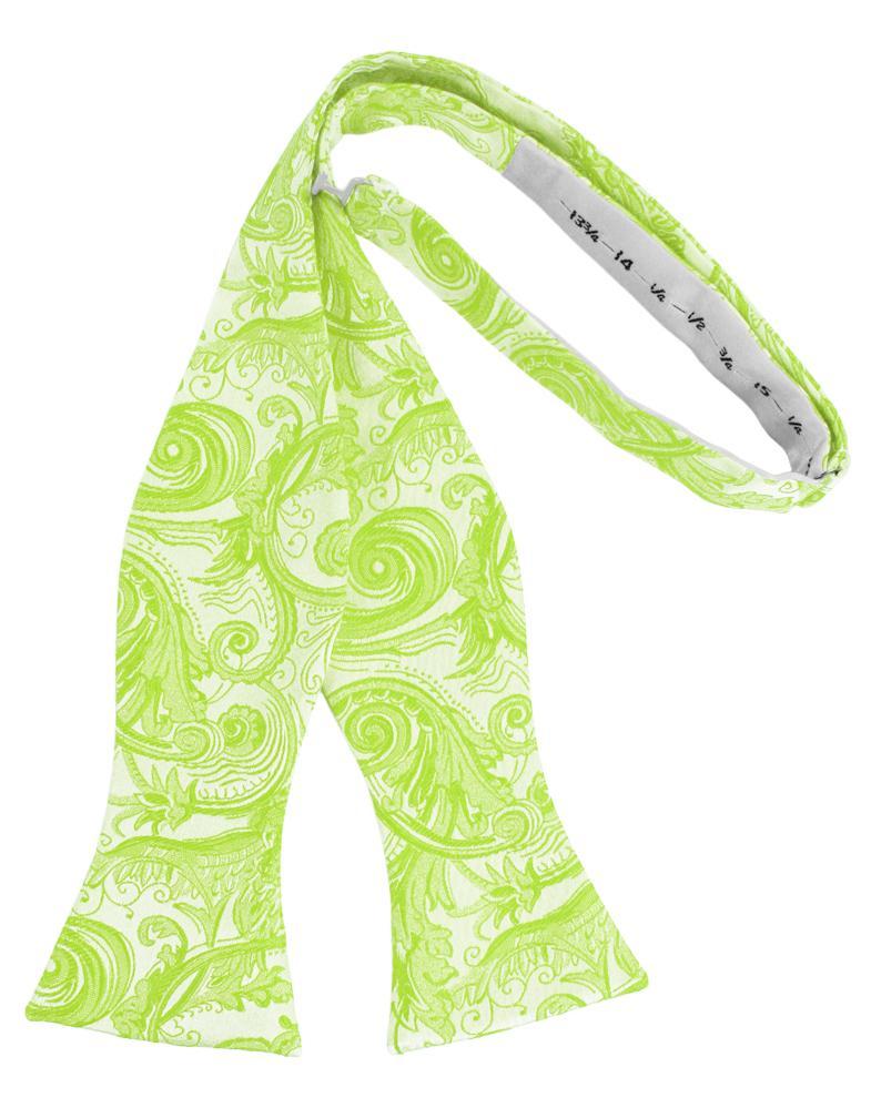 Lime Tapestry Bow Tie - Image 2