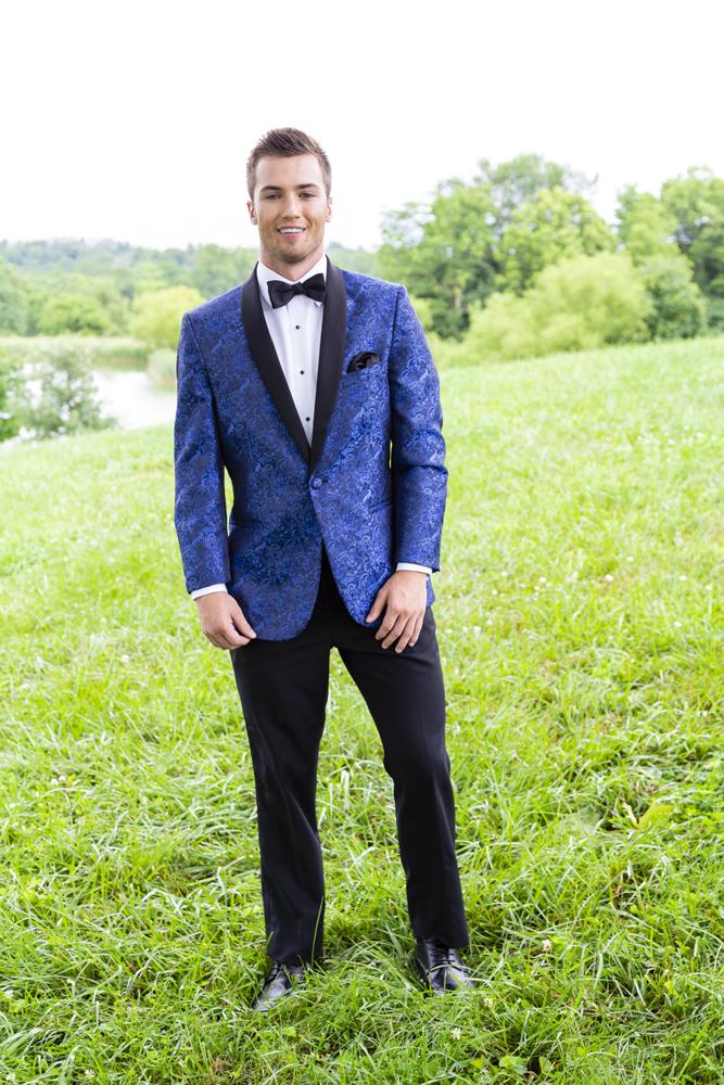 "Aries" Cobalt Paisley Shawl Tuxedo Jacket (Separates) - Image 3