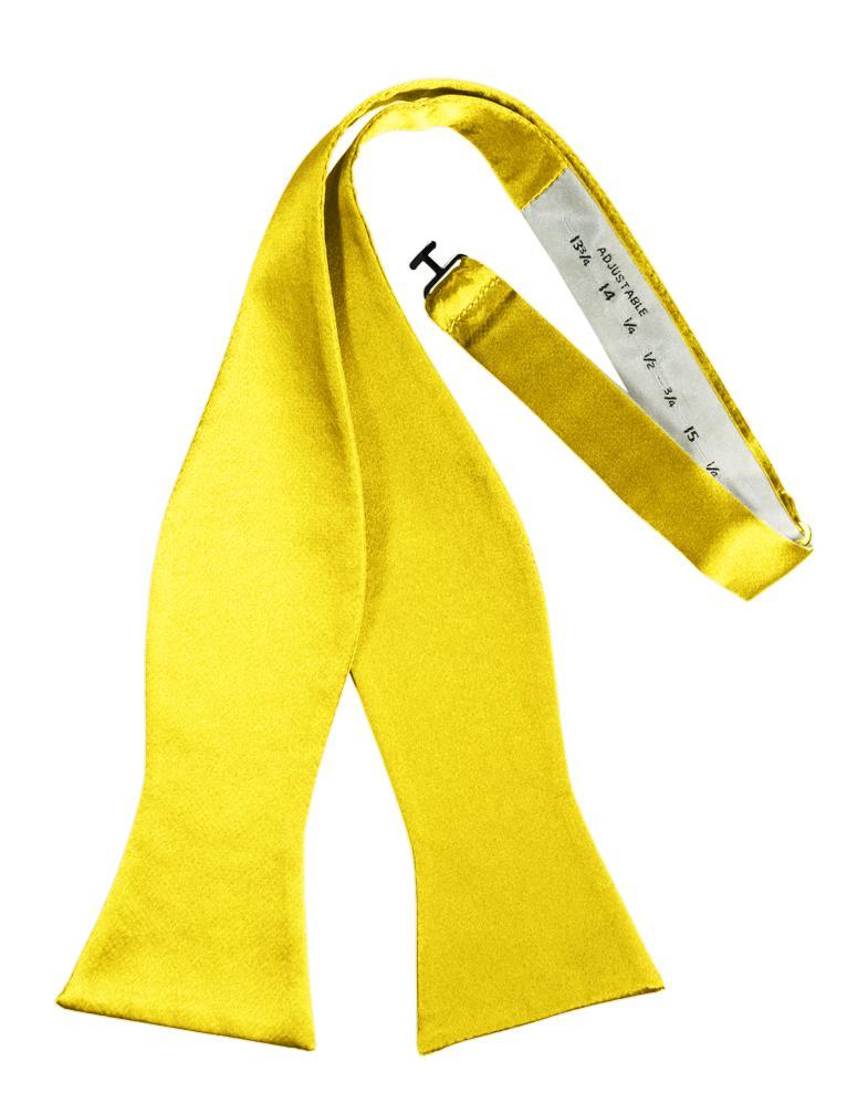 Sunbeam Luxury Satin Bow Tie - Image 2